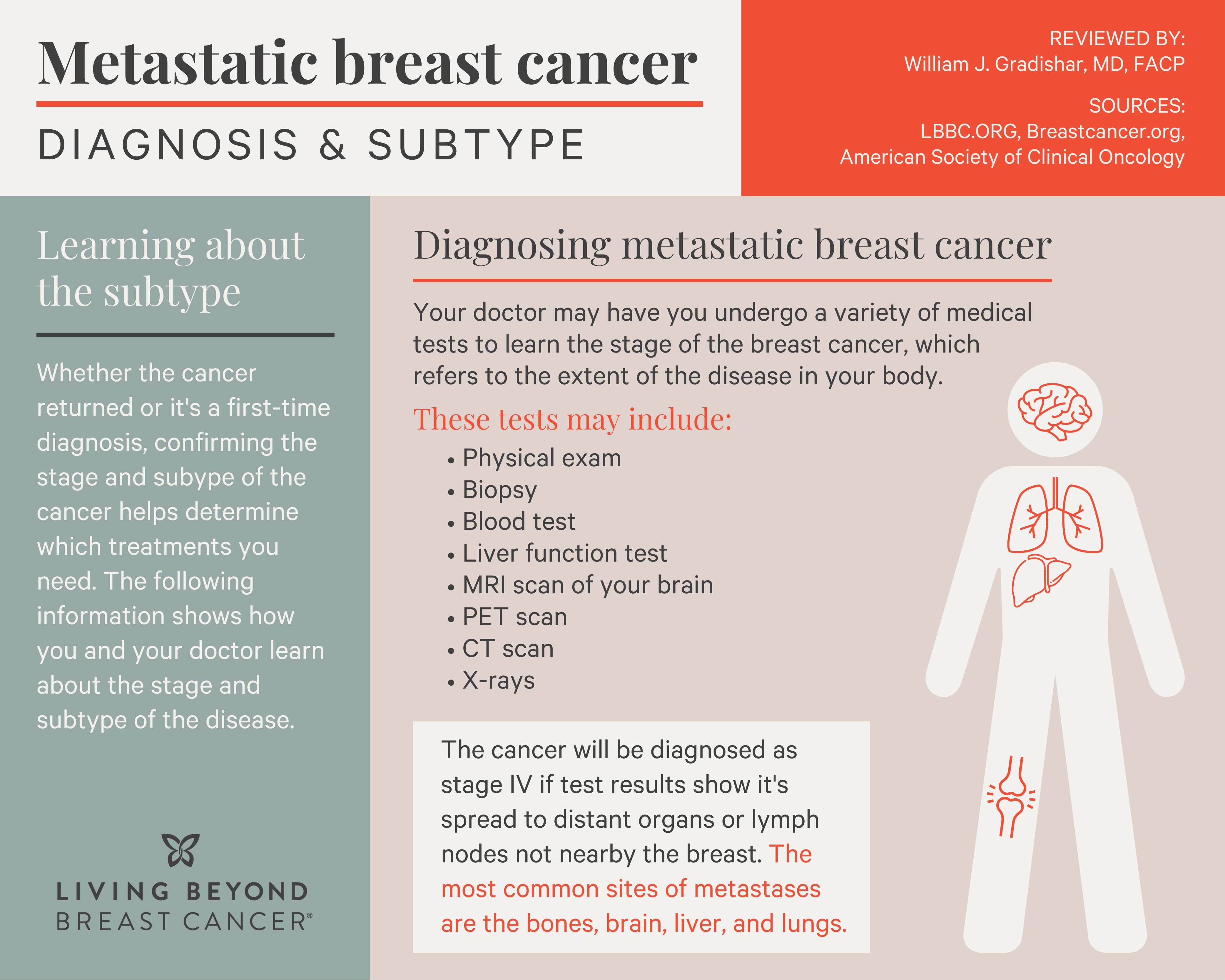 Infographic explaining how metastatic breast cancer is diagnosed and how to learn about the subtype of the cancer. In diagnosing metastatic breast cancer your doctor may have you undergo a variety of test to learn the stage of the breast cancer, which refers to the extent of the disease in your body. There is a silhouette graphic of a body showing the different organs that metastatic breast most commonly spreads to. These include the bones, brain, liver, and lungs. Confirming the stage and subtype of the cancer helps determine which treatments you need.