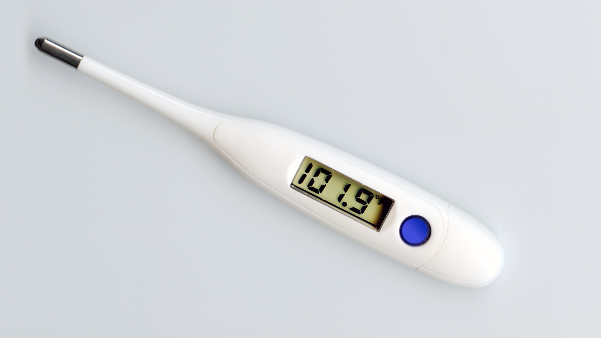 A white thermometer displaying a temperature reading of 101.9 degrees Fahrenheit