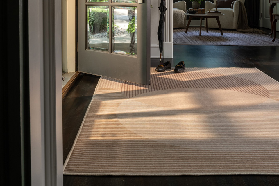 Echo rug in an entryway
