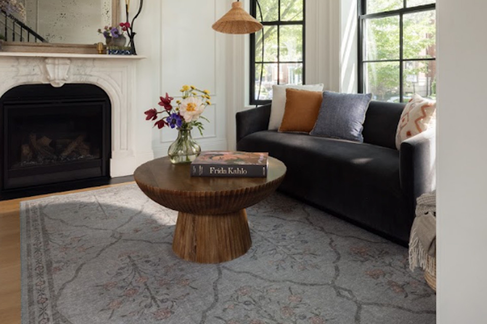 Carmen rug in a cozy living room