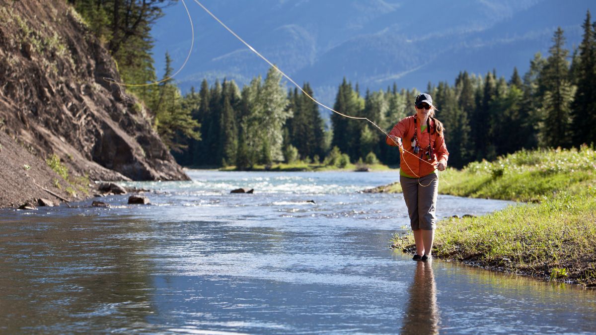 Woman fly fishing in river with evergreens and mountains behind her