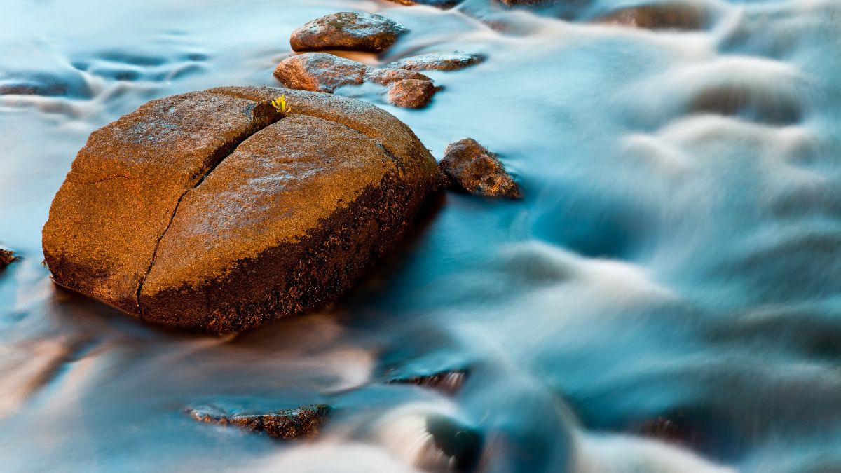 Water flows peacefully down a tropical creek at in the morning sun.