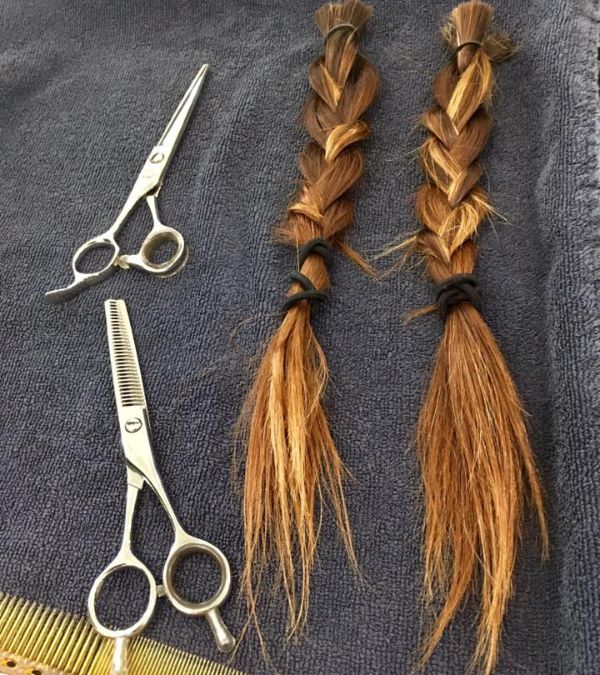 Szilvia Gogh's shorn braids lie on a gray tray, two pairs of scissors next to them.