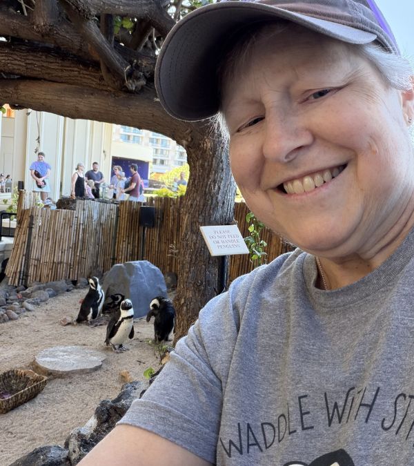 Penguins are the star in this selfie from Kim Builta